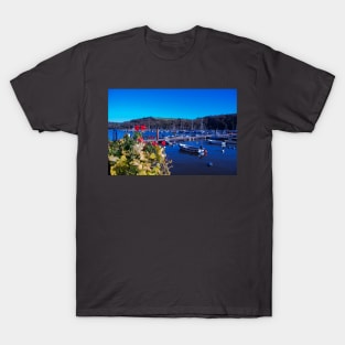 Kingswear Harbour T-Shirt